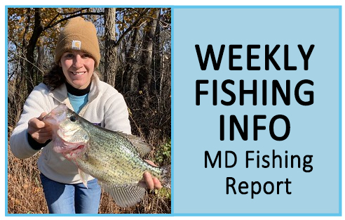 Fishing Report
