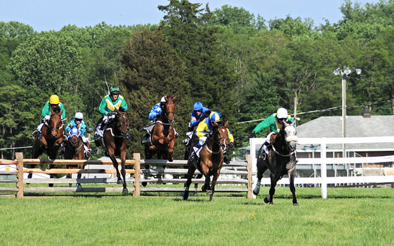 Steeplechase Horse race