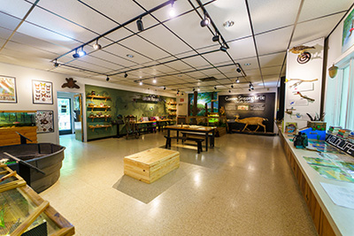 Nature Center interior